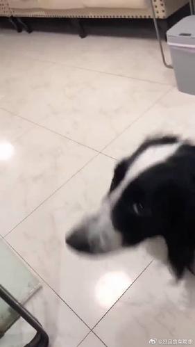 正装控的警蜀黍微博截图2
