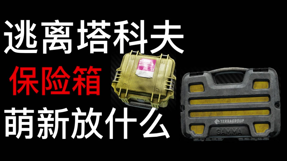 逃离塔科夫2×4保险箱