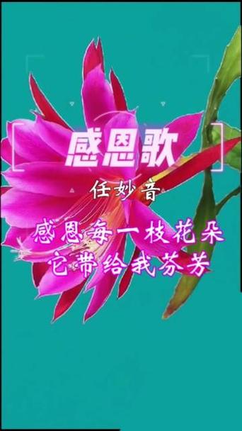 爱是花儿的芬芳什么歌