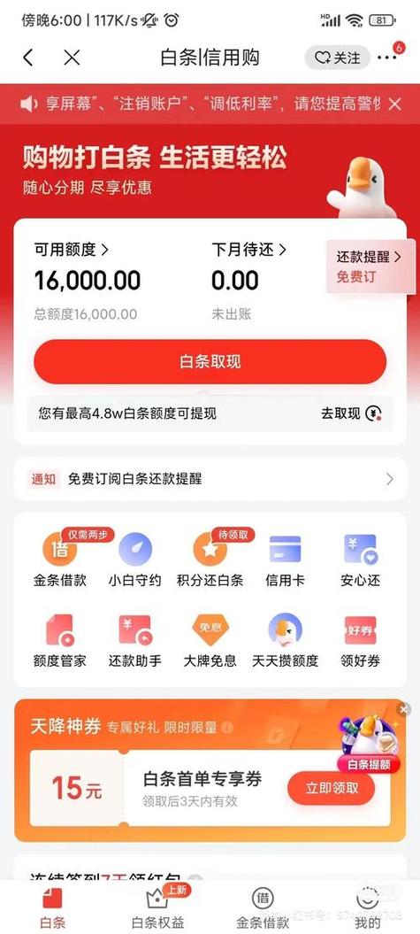 白条限额怎么查看