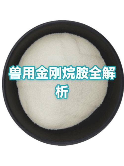 金刚烷最佳服用时间