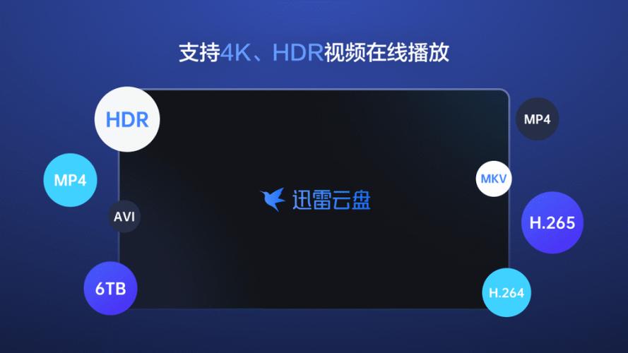 迅雷云盘tv版本的功能截图2