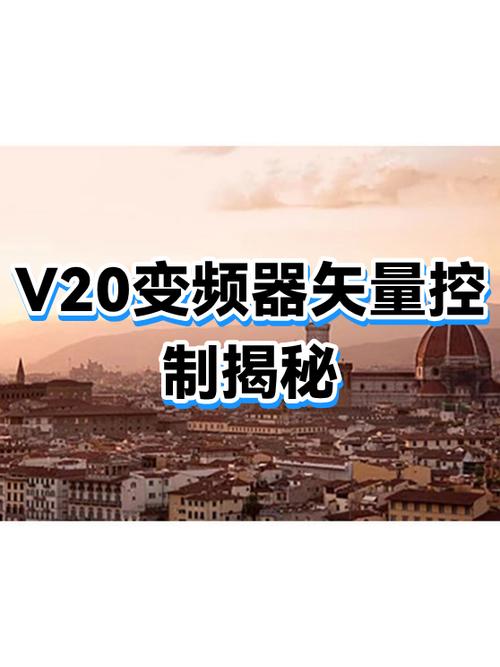 矢量控制器十大坏处