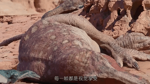 纪录片《恐龙》免费观看