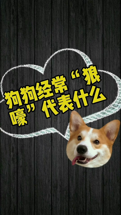 各种狗叫声