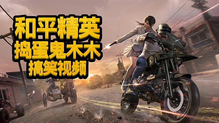 捣蛋鬼木木的视频