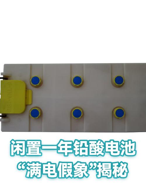 电动车没电但是插上电就显示充满