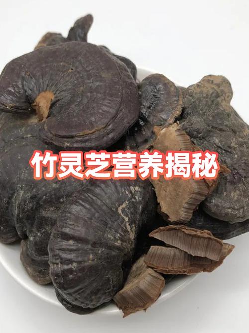 为什么竹灵芝比灵芝贵