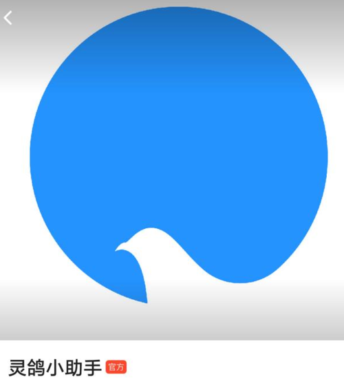 灵鸽app应用市场没有啊截图1