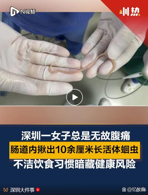 寄生虫在肚子里视频