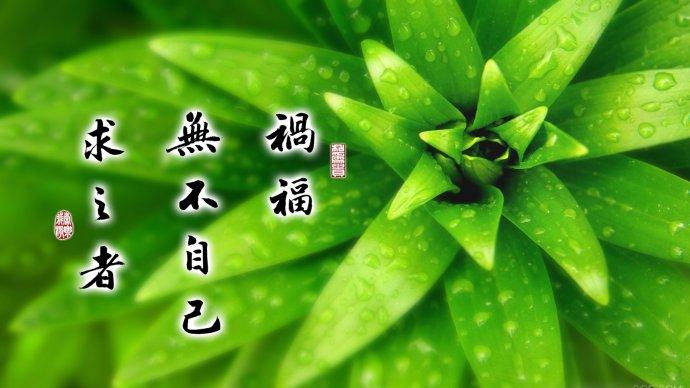 我的世界时运对什么有用