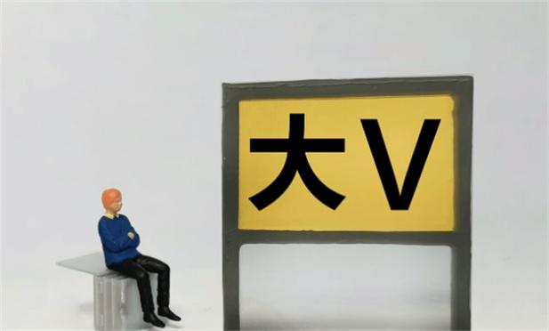 大v大咖啥意思