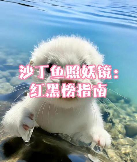 沙丁鱼星球照妖镜