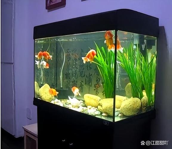 鱼缸100升水是150斤吗