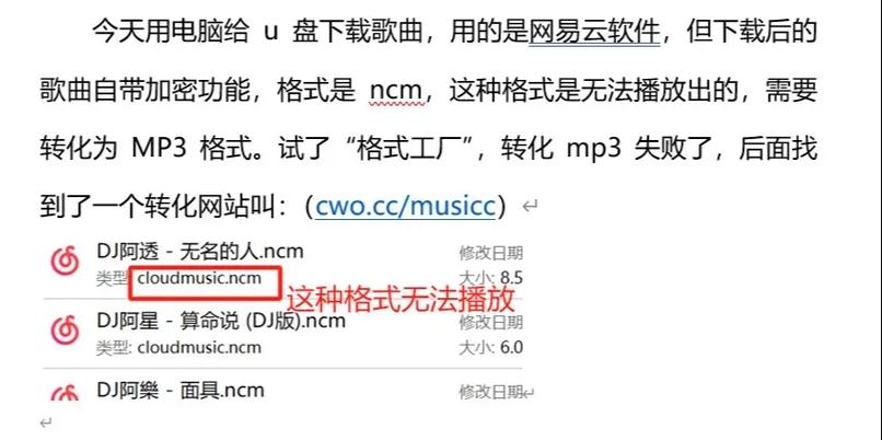 U盘为何放不出整首歌截图2