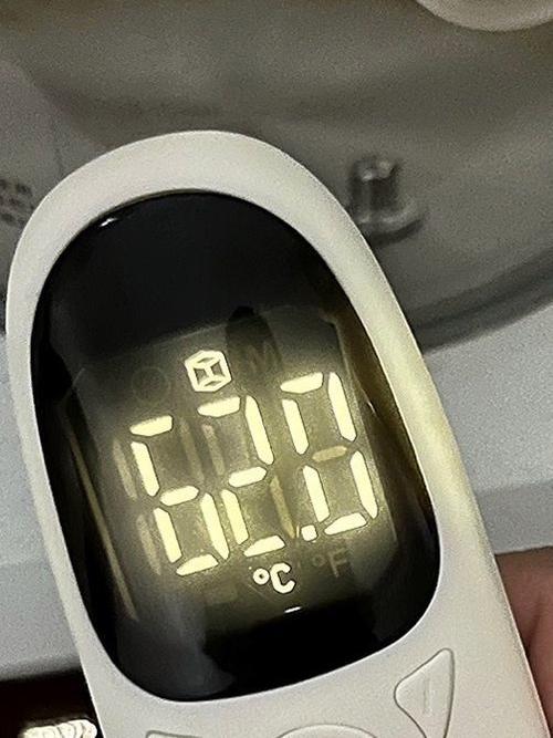 苹果11体温显示无数据