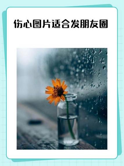 发朋友圈专用图片
