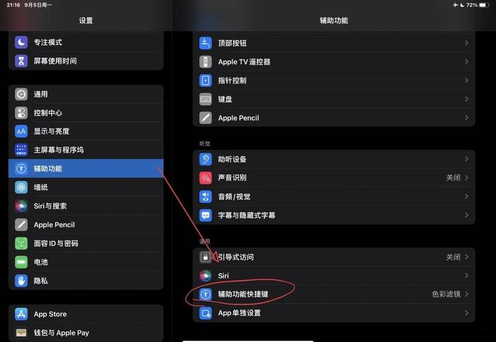 ipad屏幕变成黑白色怎么调回彩色