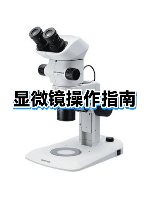 如何正确使用显微镜的步骤