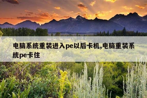 进去pe后一会就卡住了
