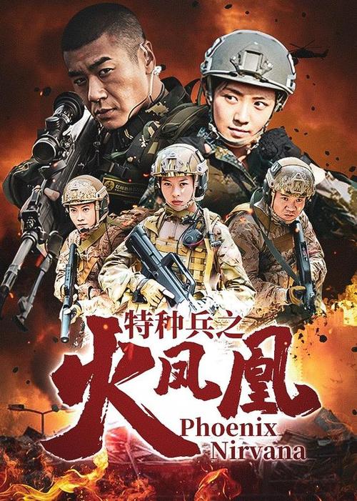 火凤凰电视剧在线观看