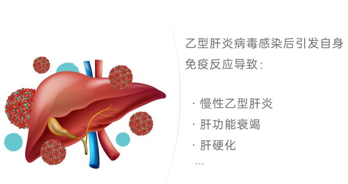 乙肝可以吃益生菌吗