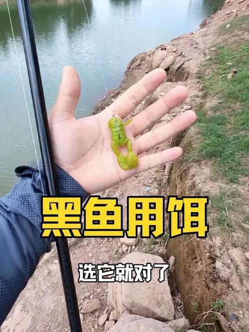 钓安子用什么饵