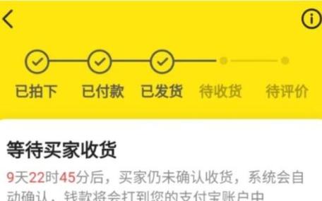 闲鱼到支付宝的钱哪里去了