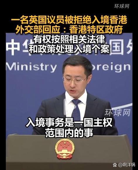 入境检查同意拒绝汉化版
