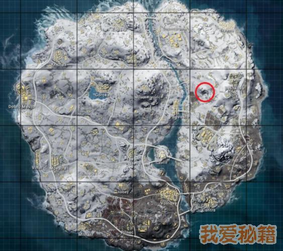 和平精英的雪地空投什么地图