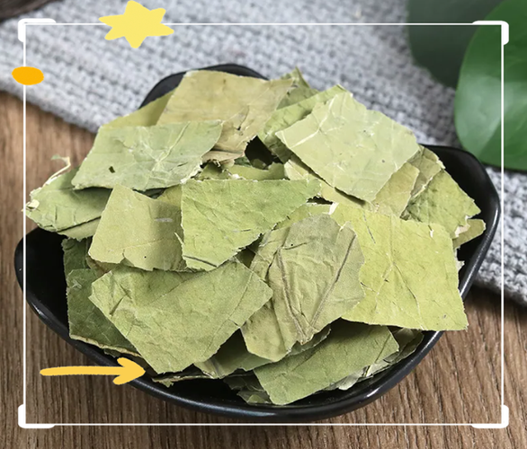 荷叶别名叫什么名字