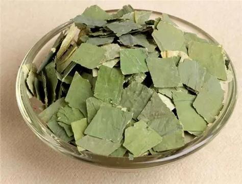 荷叶别名叫什么名字截图3