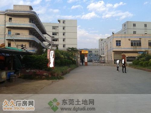 东莞大朗电子厂