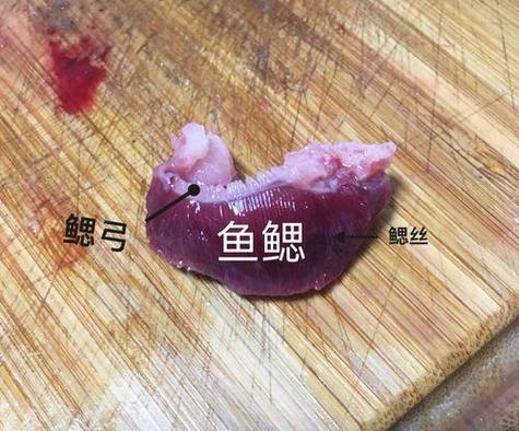 鱼鳃下面那个部位叫什么