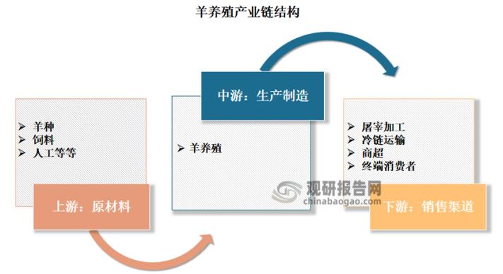 养羊的前景如何截图1