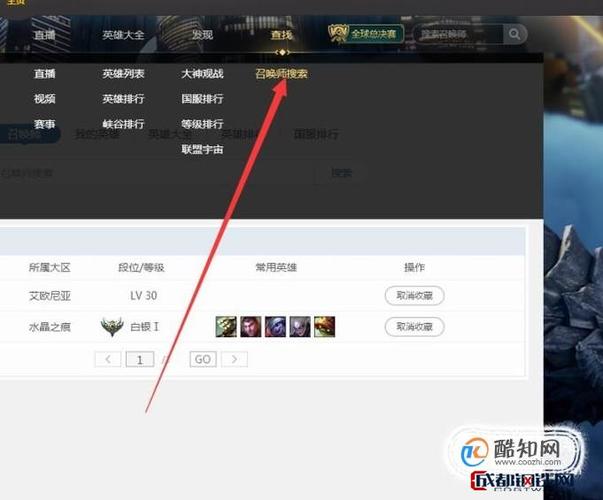 查看他人战绩的软件截图2