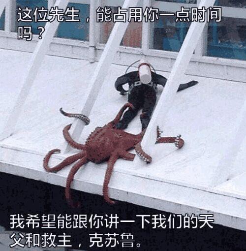 章鱼输入法输入文字不出表情