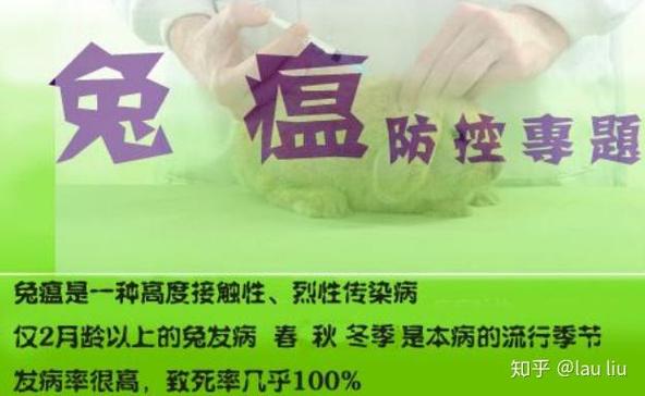 兔子出现什么症状会死
