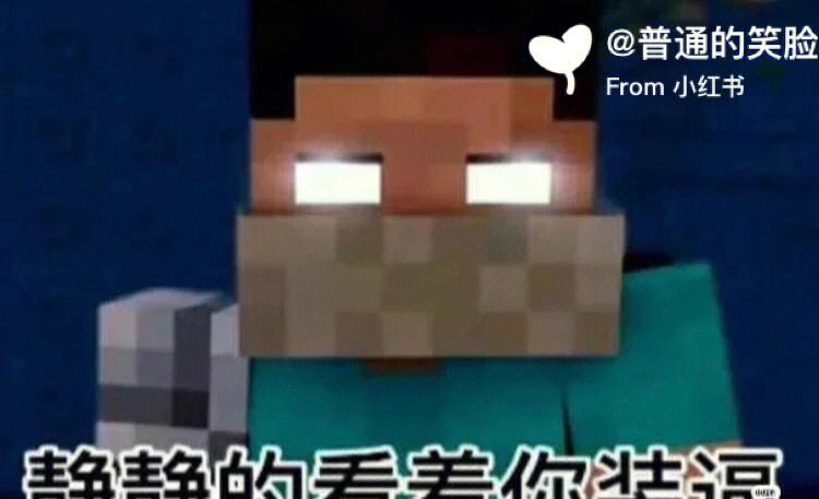实体303和him