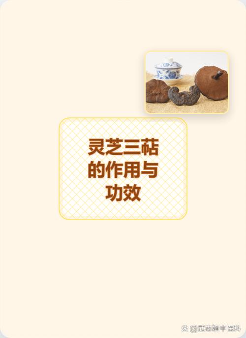 灵芝三萜的作用与功效截图2
