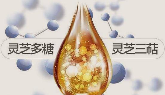 灵芝三萜的作用与功效截图3