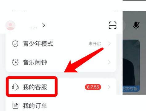 网易云音乐怎么实名认证?