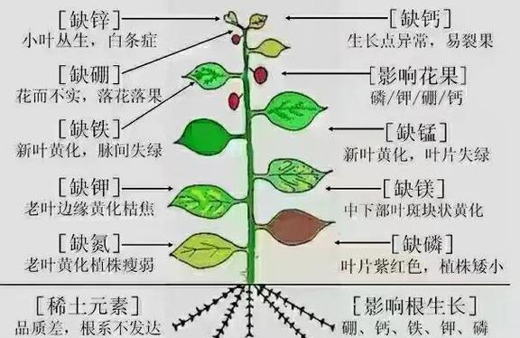 女性缺钾最明显症状 女性缺钾最明显症状