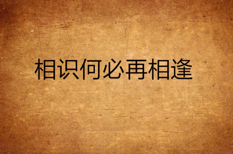 《相逢何必相识》