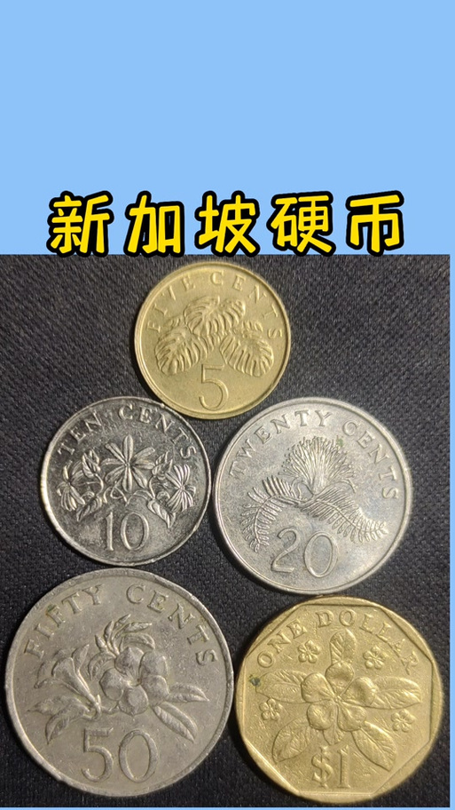 新加坡硬币 新加坡硬币
