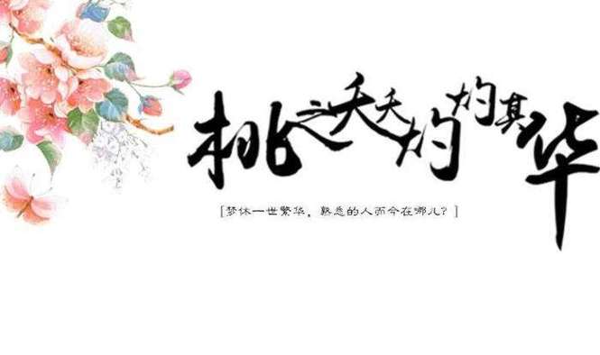 桃之夭夭适合什么人用