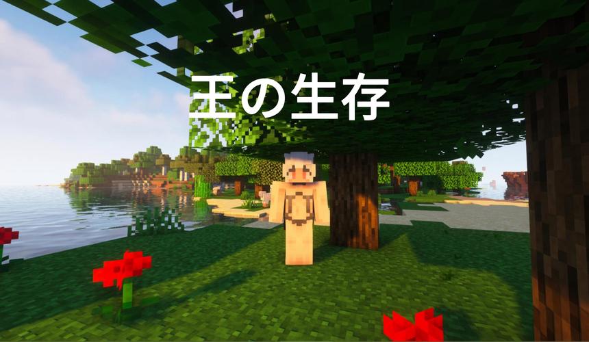 我的世界贝爷生存攻略截图3