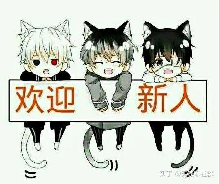 QQ霸气欢迎语