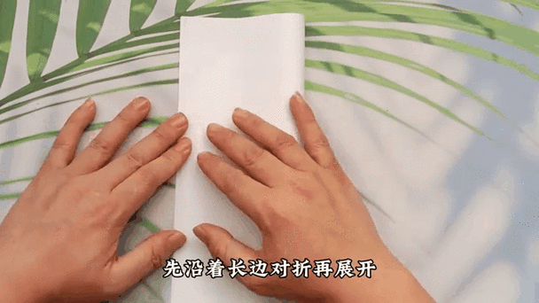 朋友动态折叠怎么取消截图2