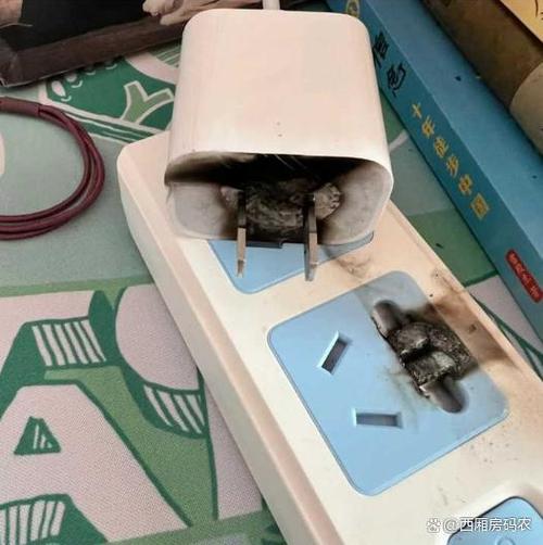 充电器一直不拔有多可怕截图1